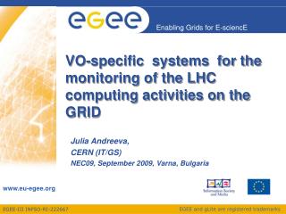 VO-specific systems for the monitoring of the LHC computing activities on the GRID