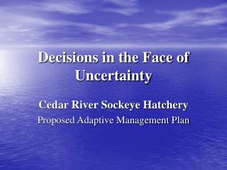 Decisions in the Face of Uncertainty