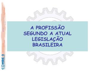 A PROFISSÃO SEGUNDO A ATUAL LEGISLAÇÃO BRASILEIRA