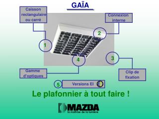 GAÏA