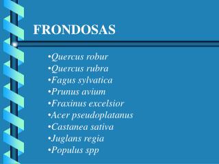 FRONDOSAS