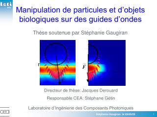 Manipulation de particules et d’objets biologiques sur des guides d’ondes