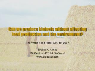 Can we produce biofuels without affecting food production and the environment?