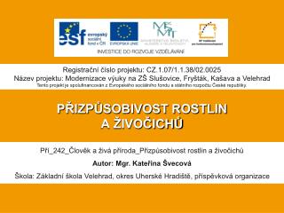 PŘIZPŮSOBIVOST ROSTLIN A ŽIVOČICHŮ