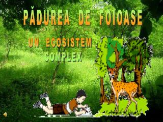 PĂDUREA DE FOIOASE