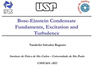 Bose-Einstein Condensate Fundaments, Excitation and Turbulence