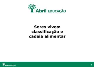 Seres vivos: classificação e cadeia alimentar