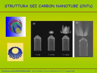 STRUTTURA DEI CARBON NANOTUBE (CNTs)