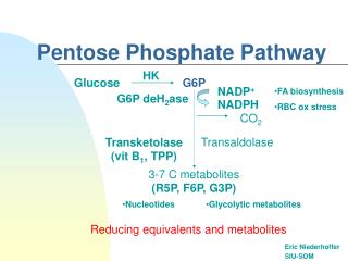 Pentose Phosphate Pathway