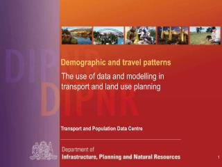 Demographic and travel patterns