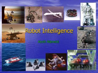 Robot Intelligence