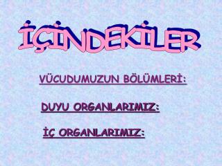 İÇİNDEKİLER