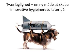 Tværfaglighed – en ny måde at skabe innovative hygiejneresultater på