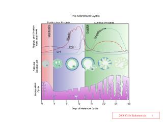 Il ciclo mestruale è determinato dalla interazione di diversi ormoni.