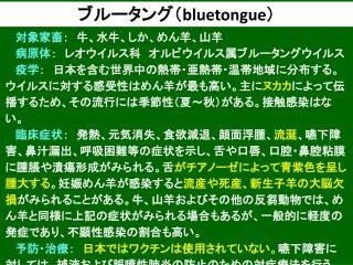 ブルータング（ bluetongue ）