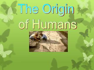 The Origin of Humans