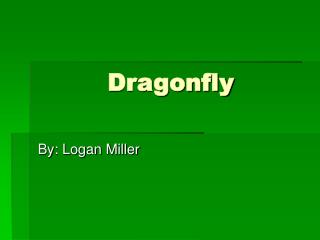 Dragonfly