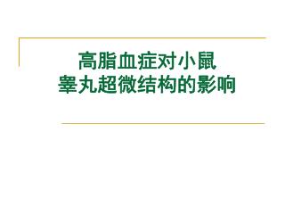 高脂血症对小鼠 睾丸超微结构的影响