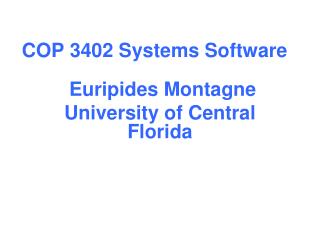 COP 3402 Systems Software