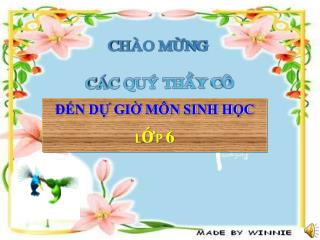 ĐẾN DỰ GIỜ MÔN SINH HỌC LỚP 6