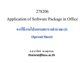 278206 Application of Software Package in Office