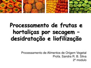 Processamento de frutas e hortaliças por secagem – desidratação e liofilização