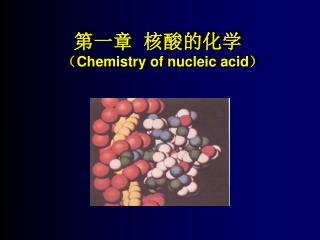 第一章 核酸的化学 （ Chemistry of nucleic acid）