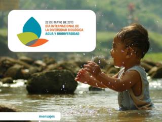 idb-2013-messages-es