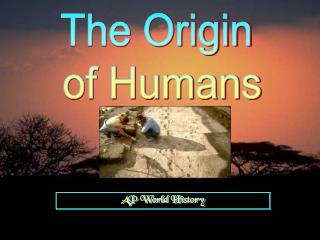 The Origin of Humans