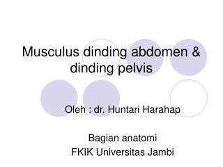 Musculus dinding abdomen &amp; dinding pelvis