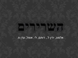 השרירים