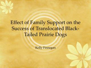 Effect of Family Support on the Success of Translocated Black-Tailed Prairie Dogs