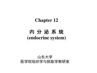 Chapter 12 内 分 泌 系 统 (endocrine system)