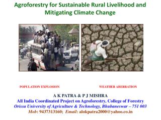 Agroforestry for Sustainable Rural Livelihood and Mitigating Climate Change