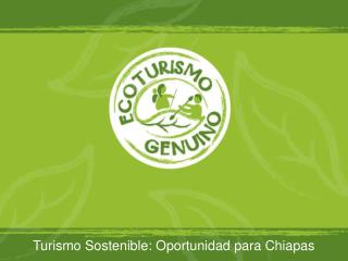 Turismo Sostenible: Oportunidad para Chiapas