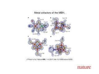 J Fritsch et al . Nature 000 , 1 - 4 (2011) doi:10.1038/nature10505