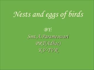 Nests and eggs of birds BY: Smt.A.Parameswari PRT( Adhoc ) KV-TVR