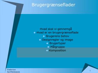 Brugergrænseflader