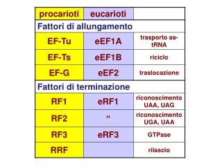 Passaggi dell’inizio di traduzione Formazione complesso 43S