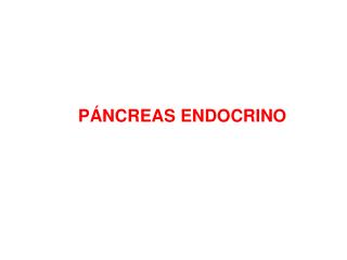 PÁNCREAS ENDOCRINO