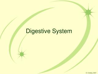 Digestive System