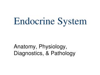 Endocrine System