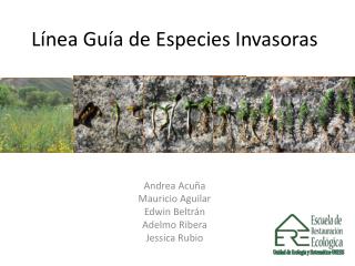 Línea Guía de Especies Invasoras