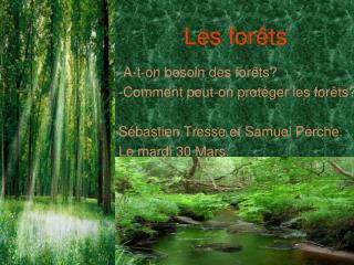 Les forêts