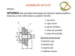 ASAMBLĂRI NITUITE