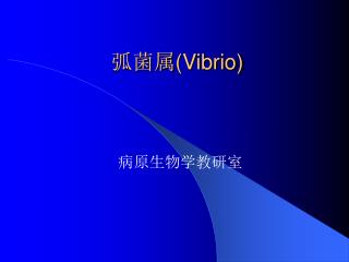 弧菌属( Vibrio)
