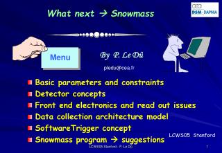 What next  Snowmass