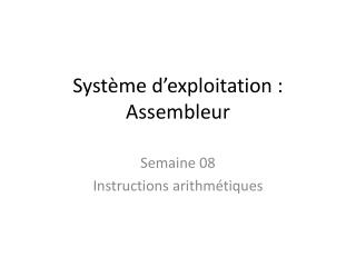 Système d’exploitation : Assembleur