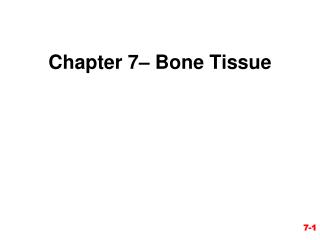 Chapter 7– Bone Tissue