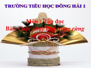 TRƯỜNG TIỂU HỌC ĐÔNG HẢI 1